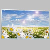 21.5寸1000nits高亮液晶屏