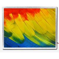 18.5寸工業(yè)級高亮液晶屏